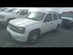 2007 CHEVROLET TRAILBLAZER 4WD 4DR LS 