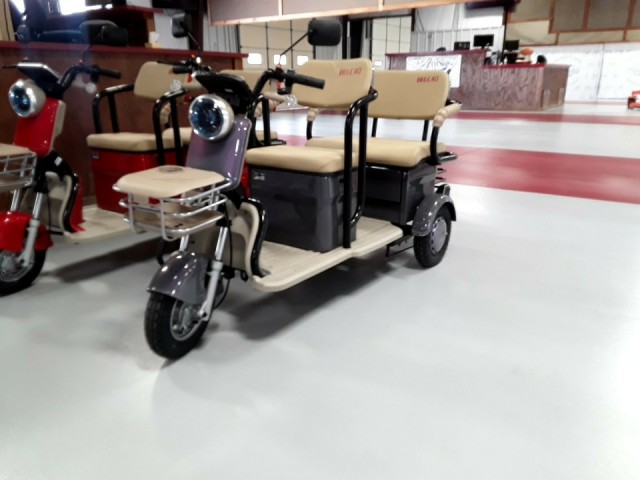 BUY IR IRGC40 2025 MINIGOLF CART, Abingdon Auto Auction, Inc.