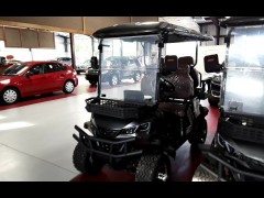 BUY IRGC80 GOLF  2025 CART, Abingdon Auto Auction, Inc.