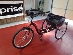 BUY SCHWINN 3 WHEEL 2001 BICYCLE , Abingdon Auto Auction, Inc.